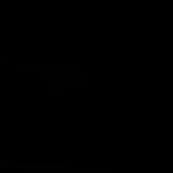 Meet your Posher, Mya - Picture 1 of 1